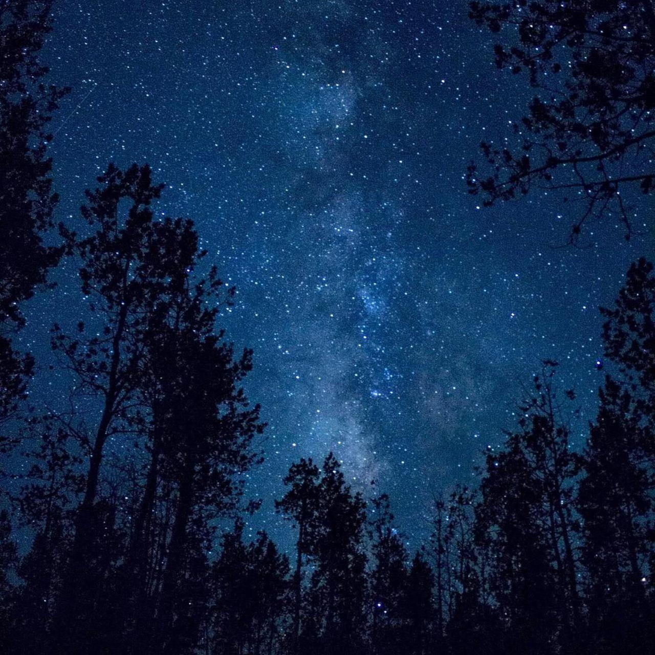 The Milky Way @ Pine Resort Fraser Hill Kültér fotó